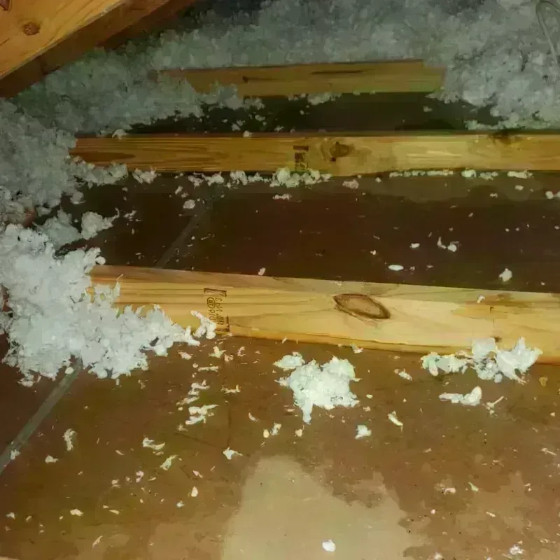 Attic Water Damage in Lyon County, IA